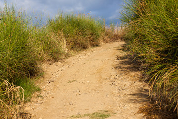 country road over the hill
