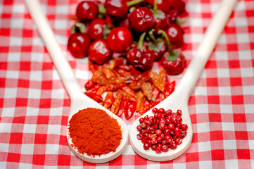 healthy aromatic herbs with dried chili, red hot peppers
