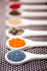 Detail of poppy seeds in wooden spoon, set of ingredients