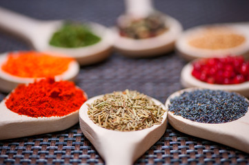 Various kind of spices on wooden spoon -  detail of tarragon