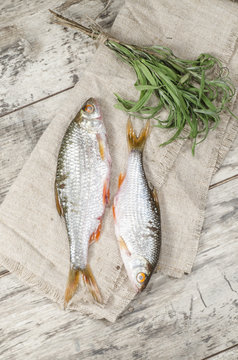 Two roaches fish on a linen napkin.