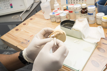 t&eacute;cnico dental trabajando