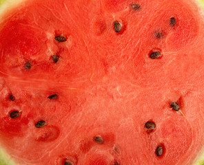 Watermelon background