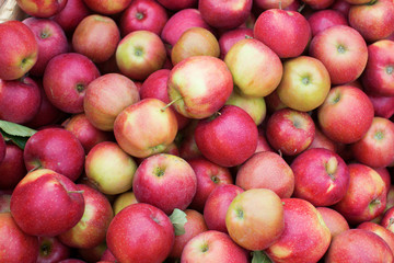 Fototapeta na wymiar Fresh organic apple background