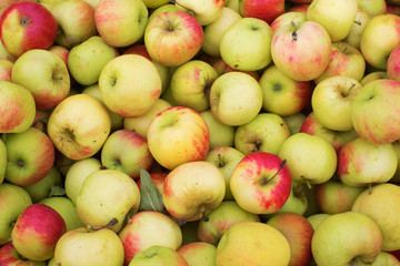 Fresh organic apple background