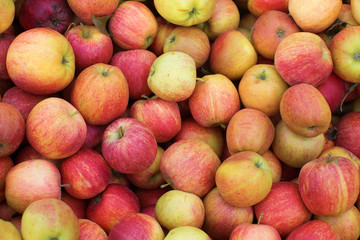 Fresh organic apple background