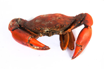 Steamed Sea Crab