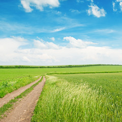 wheat field,country road and blue sky