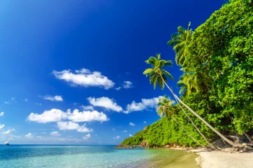 Gordijnen Beautiful Tropical Beach © jkraft5