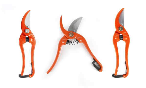 secateurs, bah&ccedil;e makası