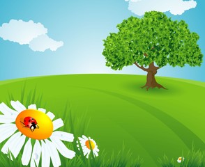 Summer time. Vector background.