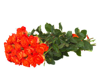 bouquet of orange  roses