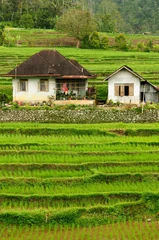 Foto op Plexiglas Indonesia countryside on the West Sumatra island © Rafal Cichawa