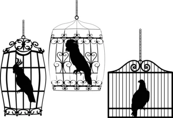 Foto auf Acrylglas Vögel in Käfigen Sammlung von Vögeln in Käfigen auf weiß