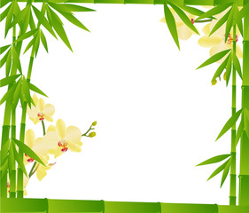 bamboo and yellow orchid flowers frame on white