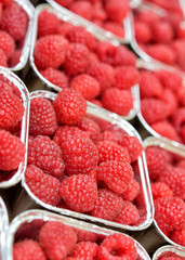 Fresh raspberry in metal boxes closeup image