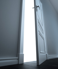 door to white