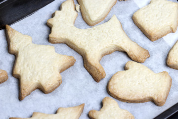 Closeup baked Christmas cookies on a baking tray