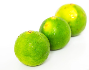 Lime over white background
