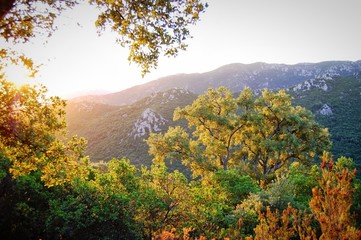 san Palo di Monti