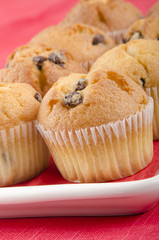 vanilla cup cake on a plate