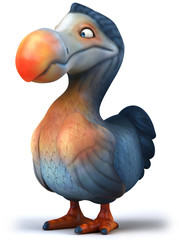 Dodo © Julien Tromeur