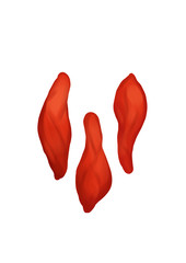 Goji berries