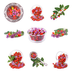 fresh color Tibetan Goji berries