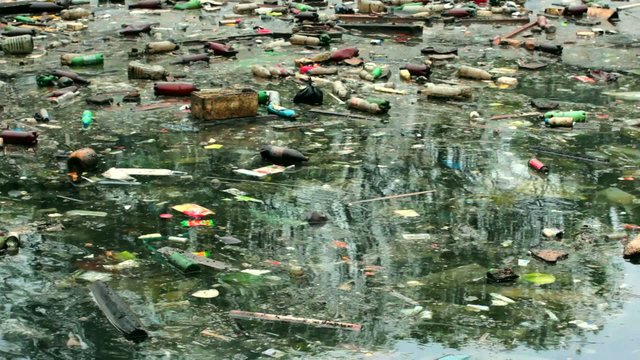 A large amount of trash polluting our waters