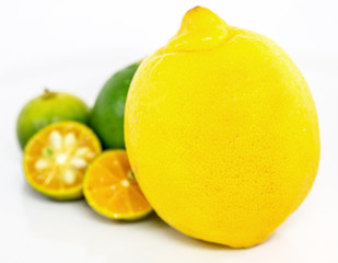 Calamansi, lime and lemon over white background