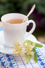 Cup of tea with Linden.