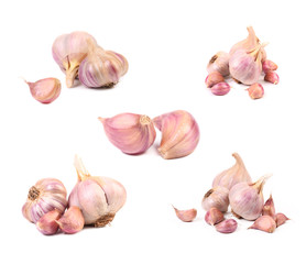 Set of purple garlic.