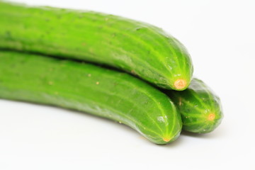 キュウリ