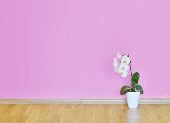 pink room with wooden floor and flower