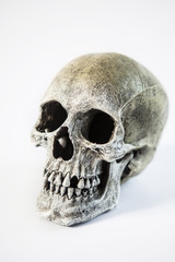 Obraz premium Scary Human Skull