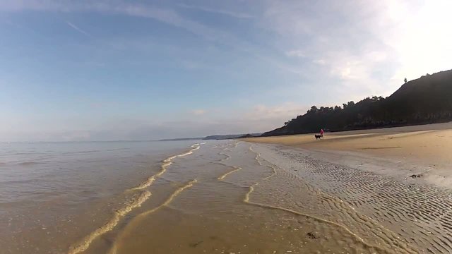 Vol en rase motte sur une plage