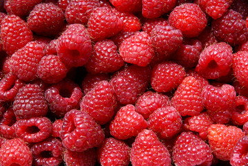 red,summer raspberries