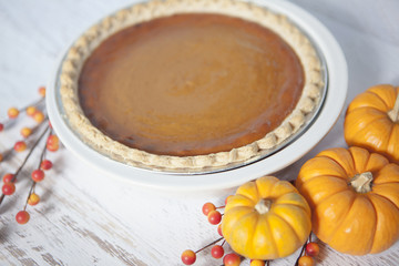 Pumpkin Pie