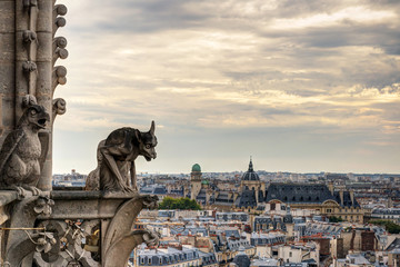 Gargoyle (Chimera) on Notre Dame de Paris cathedral on background of dramatic sky, France