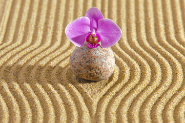 Japan ZEN garden in sand with stone