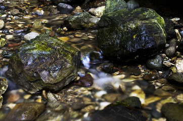 Torrente Cosia, Camnago Volta