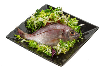 Raw Sea Perch