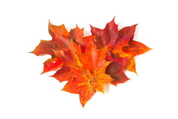 autumn maple leaves, heart shape
