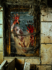 Angry zombie at the window
