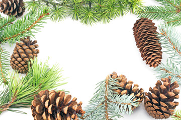 Pine cones and needles on white background