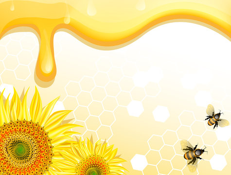Sunflowers and bees on honey background