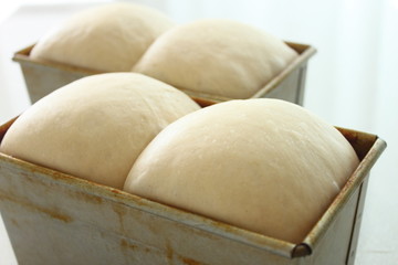 食パン・発酵