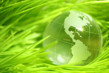 Glass globe in leaves © Leigh Prather