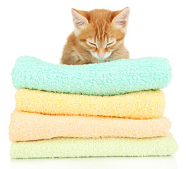 Cute little red kitten on towels isolated on white