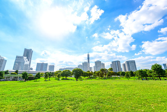 Landscape grass prospects the Yokohama city buildings in Japan